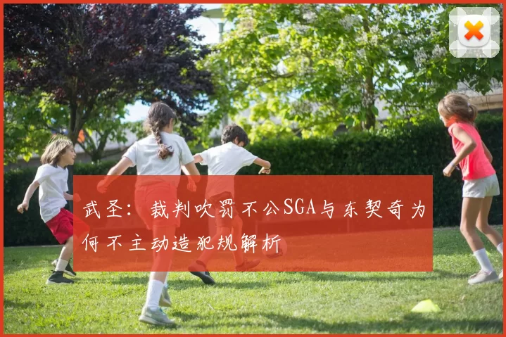 武圣：裁判吹罚不公SGA与东契奇为何不主动造犯规解析